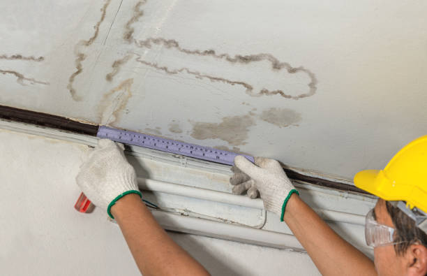 Reliable Water Extraction contractor in Washington, MI by Water Damage Irwin